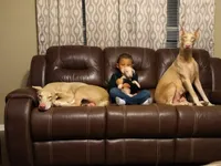 processed/7678bd73-cd54-4973-b1d2-ca98cce5fa07/facility/e91a9fe4-de56-43da-81c1-5a8535c93eb6