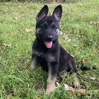 processed/767b9cab-fd93-4938-bc26-d1ec9725b353/facility/03b71a07-2415-4205-b668-ab4ddfa5a194