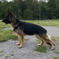 processed/767b9cab-fd93-4938-bc26-d1ec9725b353/facility/0aacbbe8-145c-4968-9849-7586299a59d1