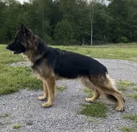 processed/767b9cab-fd93-4938-bc26-d1ec9725b353/facility/0aacbbe8-145c-4968-9849-7586299a59d1