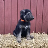 processed/767b9cab-fd93-4938-bc26-d1ec9725b353/facility/643df881-ebea-4059-8223-f2c31228220d