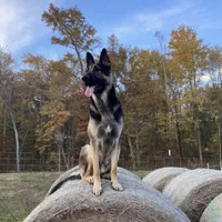 processed/767b9cab-fd93-4938-bc26-d1ec9725b353/facility/6eade05f-7a0d-421a-97ed-a2621835c3e4