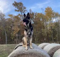 processed/767b9cab-fd93-4938-bc26-d1ec9725b353/facility/6eade05f-7a0d-421a-97ed-a2621835c3e4