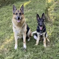 processed/767b9cab-fd93-4938-bc26-d1ec9725b353/facility/7d271afd-d515-4d14-b52e-e5620c052f5a