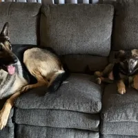 processed/767b9cab-fd93-4938-bc26-d1ec9725b353/facility/95f63866-eda4-4cb1-8f35-682ca65ba1f8