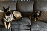 processed/767b9cab-fd93-4938-bc26-d1ec9725b353/facility/95f63866-eda4-4cb1-8f35-682ca65ba1f8