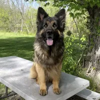 processed/767b9cab-fd93-4938-bc26-d1ec9725b353/facility/bcd33ba1-b9bd-4185-8163-7c5952537da6