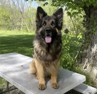 processed/767b9cab-fd93-4938-bc26-d1ec9725b353/facility/bcd33ba1-b9bd-4185-8163-7c5952537da6