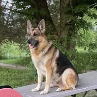 processed/767b9cab-fd93-4938-bc26-d1ec9725b353/facility/f91ba36b-d725-4c1e-b8ff-a8dc24ce03fe