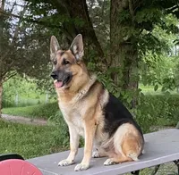 processed/767b9cab-fd93-4938-bc26-d1ec9725b353/facility/f91ba36b-d725-4c1e-b8ff-a8dc24ce03fe