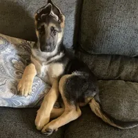 processed/767b9cab-fd93-4938-bc26-d1ec9725b353/facility/fc484c46-ce7e-49c3-a364-1a16dd2a6650