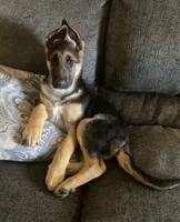 processed/767b9cab-fd93-4938-bc26-d1ec9725b353/facility/fc484c46-ce7e-49c3-a364-1a16dd2a6650