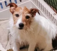 processed/76814585-41bb-440a-bccd-7d4aaf2da9f3/listing/228186da-36cc-4e7e-8760-811388294c18/e3749556-78ad-4635-aeb4-3c7fef9cb8ce