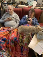 Tank Lolo, a male Rat Terrier and Yorkshire Terrier for sale in Willimantic, CT – Photo 9 of 10