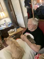 Airbender , a male Rat Terrier and Yorkshire Terrier for sale in Willimantic, CT – Photo 3 of 10