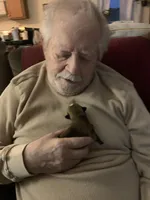 Airbender , a male Rat Terrier and Yorkshire Terrier for sale in Willimantic, CT – Photo 9 of 10