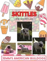 Skittles, a female American Bulldog for sale in Three Rivers, MI – 1 of 1