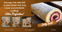 Jelly Roll, a male American Bulldog for sale in Three Rivers, MI – 1 of 1
