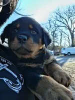 processed/768c2575-dadb-428a-b5dc-29f62e4ae288/listing/cf827f6c-ece0-41a9-8c9c-6fa9b9e1a73c/201078f4-b38f-417b-907f-d7dae7ae79db