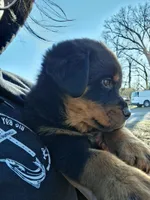 processed/768c2575-dadb-428a-b5dc-29f62e4ae288/listing/cf827f6c-ece0-41a9-8c9c-6fa9b9e1a73c/42f5867f-3bed-4e0e-bf65-2eec41289d99