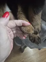 processed/768c2575-dadb-428a-b5dc-29f62e4ae288/listing/cf827f6c-ece0-41a9-8c9c-6fa9b9e1a73c/51ad0409-6775-4baa-92c9-20c2b8df15dc