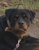 processed/768c2575-dadb-428a-b5dc-29f62e4ae288/listing/cf827f6c-ece0-41a9-8c9c-6fa9b9e1a73c/6123158e-5a61-4949-91a0-9514fa48c07a