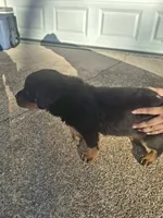 processed/768c2575-dadb-428a-b5dc-29f62e4ae288/listing/cf827f6c-ece0-41a9-8c9c-6fa9b9e1a73c/ae8f68b3-a38a-4c2a-89e2-63f82fdf58e3