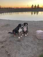 processed/7691843d-d70e-447a-b0ee-a1fa3c8e2d9a/facility/134a4325-6068-40b9-939b-b8e857f42173