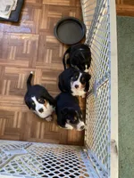 processed/7691843d-d70e-447a-b0ee-a1fa3c8e2d9a/facility/7241a7f4-7547-4d7e-96c3-17e1a9e803af