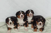 processed/7691843d-d70e-447a-b0ee-a1fa3c8e2d9a/facility/951a08a8-200d-4c58-93f4-6b38ef83de4c