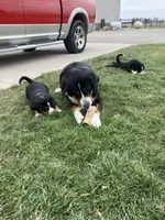 processed/7691843d-d70e-447a-b0ee-a1fa3c8e2d9a/facility/ba28a8e0-6267-4a18-b4ea-025de6957bde