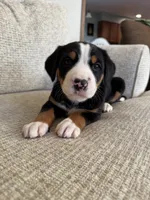 processed/7691843d-d70e-447a-b0ee-a1fa3c8e2d9a/listing/fd41ccf7-de33-41a5-854e-5f8dc20fc284/ac184a37-f1d1-42cf-90b3-bf263506976c