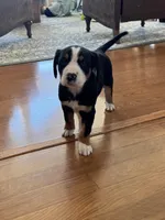 processed/7691843d-d70e-447a-b0ee-a1fa3c8e2d9a/listing/fd41ccf7-de33-41a5-854e-5f8dc20fc284/cb97abd6-b506-49f5-a1d9-128b0e1cd706