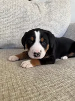 processed/7691843d-d70e-447a-b0ee-a1fa3c8e2d9a/listing/fd41ccf7-de33-41a5-854e-5f8dc20fc284/d4c5c234-96fc-4eda-8713-c230284bb468