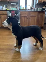 processed/7691843d-d70e-447a-b0ee-a1fa3c8e2d9a/listing/fd41ccf7-de33-41a5-854e-5f8dc20fc284/d9d31541-6fa4-426d-9392-495ca3493da9