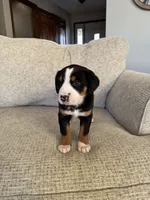 processed/7691843d-d70e-447a-b0ee-a1fa3c8e2d9a/listing/fd41ccf7-de33-41a5-854e-5f8dc20fc284/e67e983f-a652-494f-9d12-d89ac8fa3786