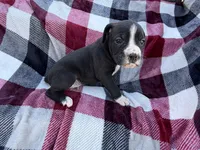 processed/76acdace-3fca-46b2-9f93-ea908c679e33/listing/0808862b-c91d-464a-b740-cb019510ea4e/2d16240b-7bee-4441-ab89-90a69dca9786