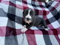 processed/76acdace-3fca-46b2-9f93-ea908c679e33/listing/0808862b-c91d-464a-b740-cb019510ea4e/3d3bab16-bc6d-488f-87a7-96c985f3ddc8