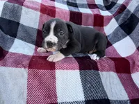 processed/76acdace-3fca-46b2-9f93-ea908c679e33/listing/0808862b-c91d-464a-b740-cb019510ea4e/500cbeb7-3558-45fc-a4c7-ceaeab494677