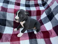 processed/76acdace-3fca-46b2-9f93-ea908c679e33/listing/0808862b-c91d-464a-b740-cb019510ea4e/96929a1a-e70d-47e6-9410-2d7b668e7af0