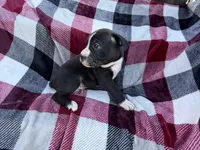 processed/76acdace-3fca-46b2-9f93-ea908c679e33/listing/0808862b-c91d-464a-b740-cb019510ea4e/d2884145-d19e-471f-a327-23ea0ad63fa0