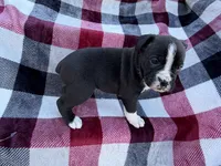 processed/76acdace-3fca-46b2-9f93-ea908c679e33/listing/44b21c21-0c50-4973-be61-1db63c927ccc/06903f1f-3b02-4132-90ca-1421229bea59