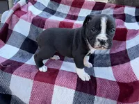 processed/76acdace-3fca-46b2-9f93-ea908c679e33/listing/44b21c21-0c50-4973-be61-1db63c927ccc/3c05aa82-2a6b-4e64-ac10-456d8938f75c