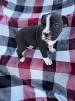 processed/76acdace-3fca-46b2-9f93-ea908c679e33/listing/44b21c21-0c50-4973-be61-1db63c927ccc/62665cd9-7531-489d-94a4-d5d5178e476c