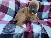 processed/76acdace-3fca-46b2-9f93-ea908c679e33/listing/d4e2cda5-aae0-4535-8a9a-b6c00b45a2ee/15e00c32-0dcb-4f6a-be31-6f1534637c85