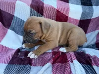 processed/76acdace-3fca-46b2-9f93-ea908c679e33/listing/d4e2cda5-aae0-4535-8a9a-b6c00b45a2ee/23d64674-1c83-4b2f-bf5c-b1262c94496b