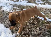 processed/76acdace-3fca-46b2-9f93-ea908c679e33/listing/d4e2cda5-aae0-4535-8a9a-b6c00b45a2ee/9f91dc83-be85-4a99-babb-05940639b1f8