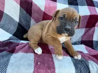 processed/76acdace-3fca-46b2-9f93-ea908c679e33/listing/d4e2cda5-aae0-4535-8a9a-b6c00b45a2ee/c16bf1a0-c5ab-44bc-9cbb-8fd66860153f