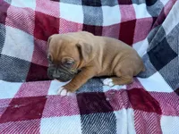 processed/76acdace-3fca-46b2-9f93-ea908c679e33/listing/d4e2cda5-aae0-4535-8a9a-b6c00b45a2ee/c43952c1-b494-45ae-9e0d-4aff8c7145b8