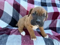 processed/76acdace-3fca-46b2-9f93-ea908c679e33/listing/d4e2cda5-aae0-4535-8a9a-b6c00b45a2ee/e04a1bbf-b7dd-4576-833c-2183596eb3bd